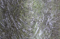 Warminster fibreglass roof work